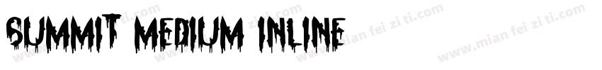 Summit Medium Inline字体转换